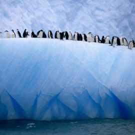 Земли за антарктидой (45 фото)