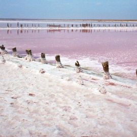 Розовое озеро геническ (70 фото)