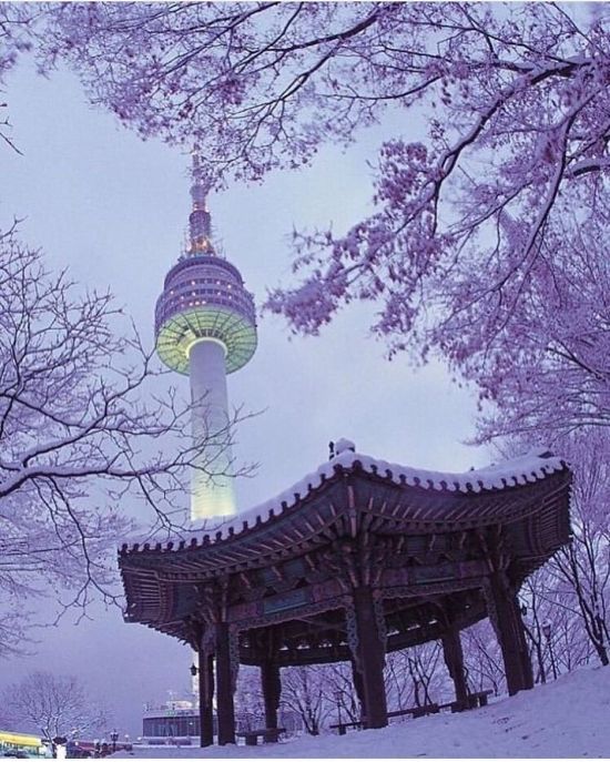 Корея зимой сеул (50 фото)
