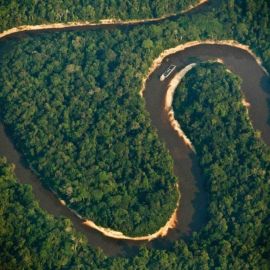 Амазонка река ширина (51 фото)