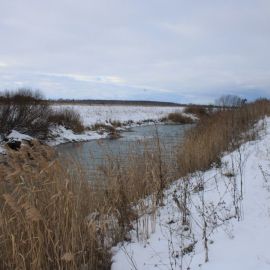 Река теша нижегородской (54 фото)