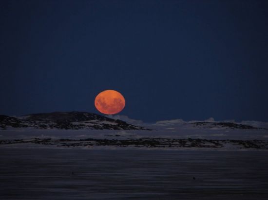 Антарктическая ночь (47 фото)
