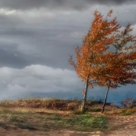 Осень ветер (52 фото)