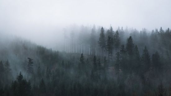 Адвективный туман (51 фото)