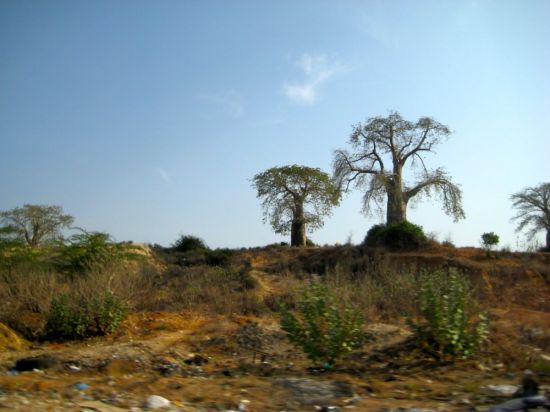 Ангола природа (42 фото)