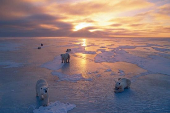Солнце на северном полюсе (54 фото)