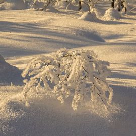 Белым снегом замело (66 фото)