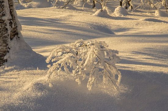 Белым снегом замело (66 фото)