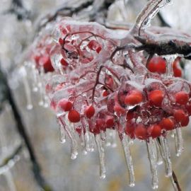Ледяной дождь гололедица (52 фото)
