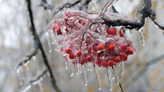 Ледяной дождь гололедица (52 фото)