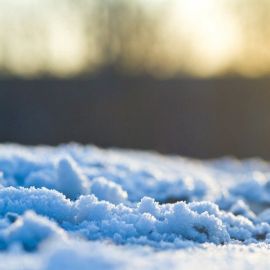 Снежный комок (42 фото)