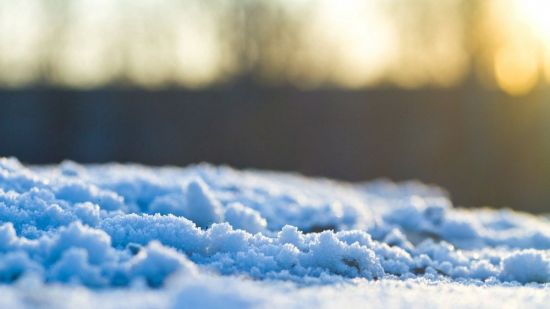Снежный комок (42 фото)