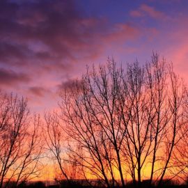 Малиновый закат зимой (45 фото)