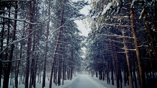 Нерюнгри зимой (53 фото)