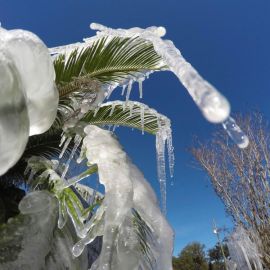 Зима во флориде (53 фото)
