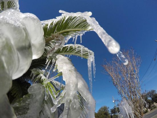 Зима во флориде (53 фото)