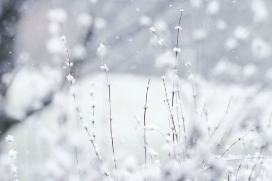 Комочек снега (47 фото)