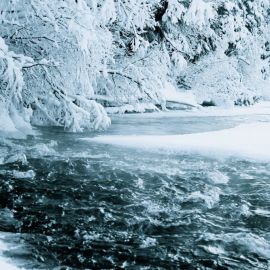 Ледяная красота (51 фото)