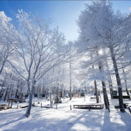 Снег в корее (51 фото)