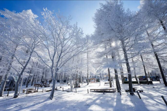 Снег в корее (51 фото)