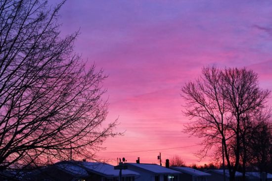Розовое зимнее небо (41 фото)