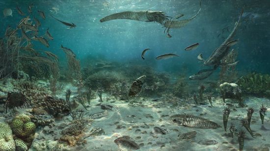 Древний океан тетис (51 фото)