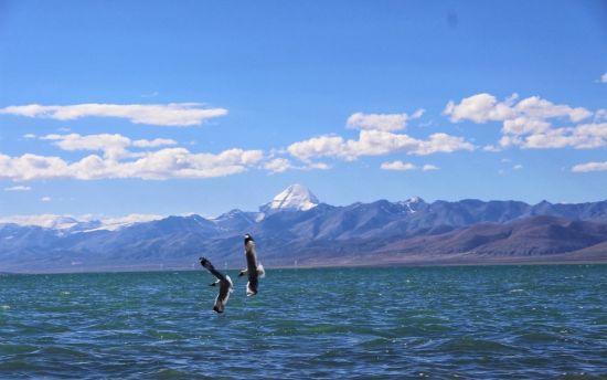 Озеро манасаровар в тибете (46 фото)