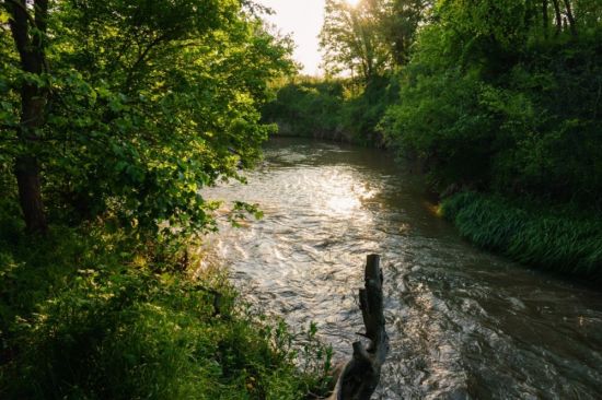 Дубровенка река (54 фото)