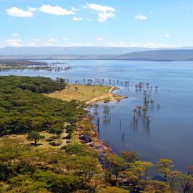 Озеро накуру кения (54 фото)