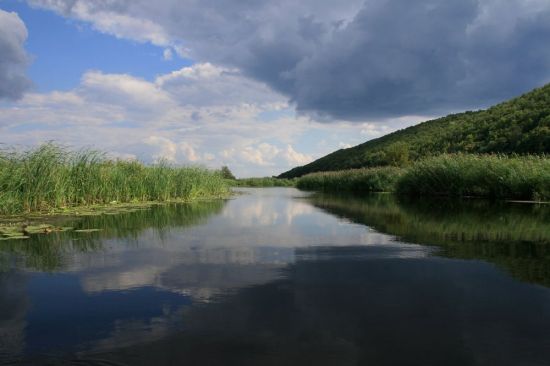 Река чикинка (55 фото)