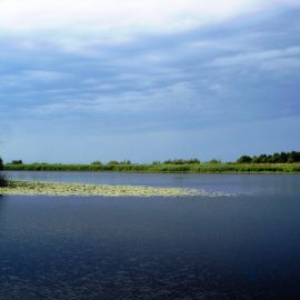 Барановичи жлобинское озеро (46 фото)