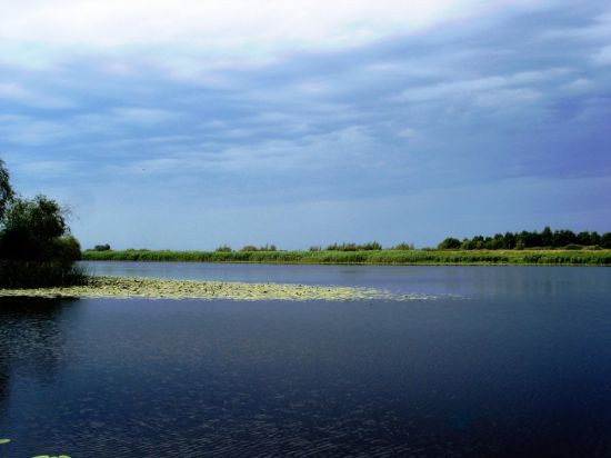 Барановичи жлобинское озеро (46 фото)