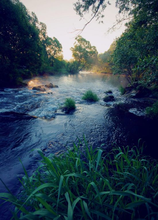 Река серена (50 фото)
