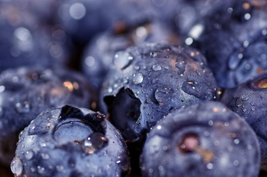 Темно синие ягоды (49 фото)