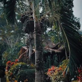 Качанга остров (45 фото)