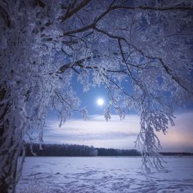 Лунная ночь зимой (42 фото)