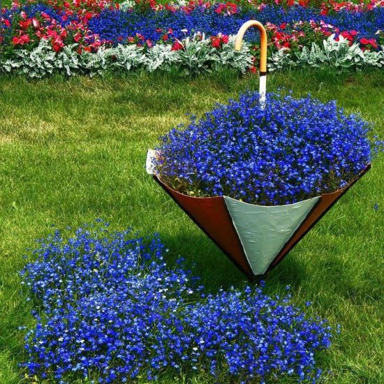 Голубые садовые цветы (41 фото)