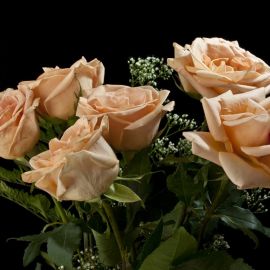 Чайные розы нежно (42 фото)