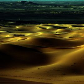 Пустыня позеленела (35 фото)