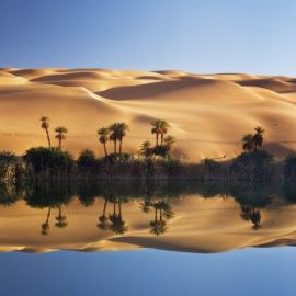 Мировые пустыни (43 фото)