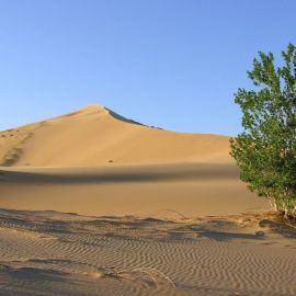 Пустыня бархан сарыкум (42 фото)