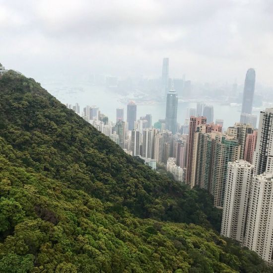 Гонконг природа (37 фото)