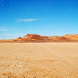 Пустыня гандом (39 фото)