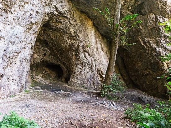 Стоянка денисова пещера (36 фото)