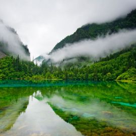 Водный лес в китае (37 фото)