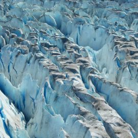 Ледник менденхолл (39 фото)
