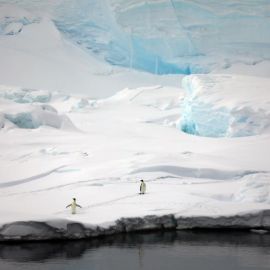 Ледник потанина (39 фото)