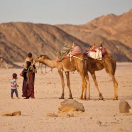 Северная африка египет (38 фото)