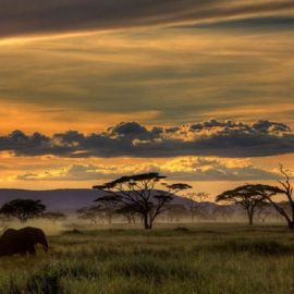 Равнины южной африки (43 фото)