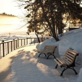 Парк ваккосалми зимой (42 фото)